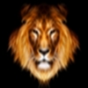 Benutzerbild von Blue_Child