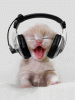 Benutzerbild von Windows_isch_King
